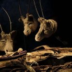 Soñar con un bosque olvidado